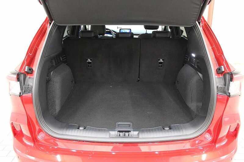 Ford Kuga Plug-in-Hybrid Vignale, NAVI/iACC/KAMERA