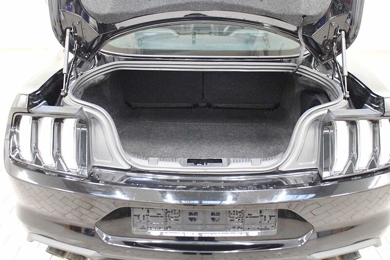 Ford Mustang Fastback GT V8 Aut/PREM-PK 2/NAVI/KAMERA